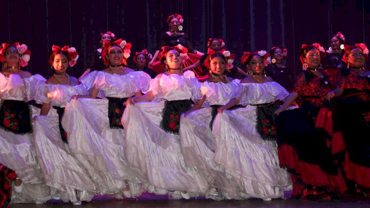 image_750x_654d6bbc5776b